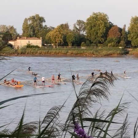 L'Atelier Saint-Sulpice Entre Bordeaux Et St Emilion Bed & Breakfast Ngoại thất bức ảnh