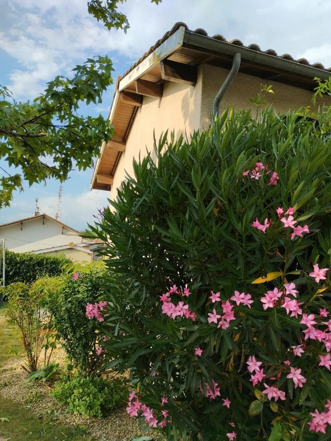 L'Atelier Saint-Sulpice Entre Bordeaux Et St Emilion Bed & Breakfast Ngoại thất bức ảnh